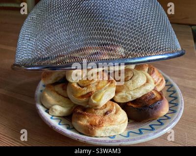 Home Made cinnamon Buns under a food Cover Stock Photo