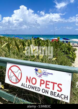 No pets allowed sign at Lake Worth Beach, Florida. Stock Photo