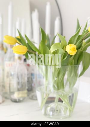 Spring yellow tulips in vase Stock Photo