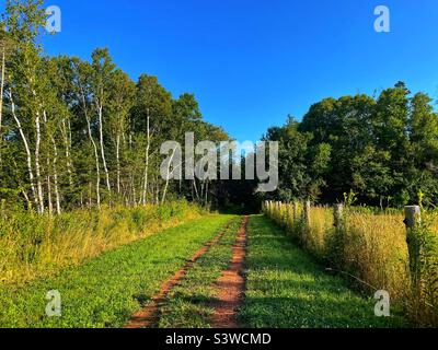 Dirt track through the countryside. Stock Photo