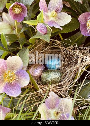Chocolate eggs in a nest Stock Photo
