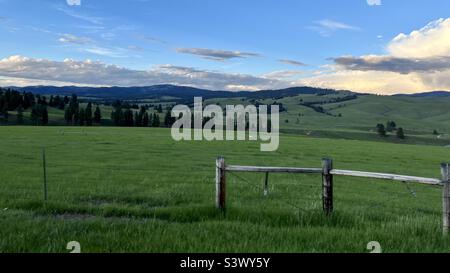 Wooden gate and barbed wire fencing in foreground, with grass land and pine-covered hills beyond. Overcast, dark, with a few clouds overhead. Montana, USA Stock Photo