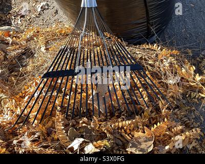 A seasonal still life image for fall consisting of a rake, fallen leaves and a black trash bag. Stock Photo