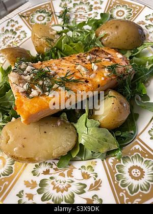 Close up of a gourmet dilled salmon fillet on a bit of new potatoes and arugula, 2022, USA Stock Photo