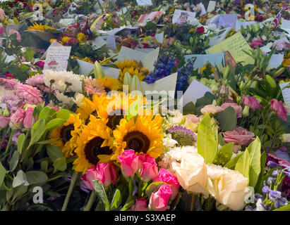 Shaft of sunlight on sunflowers amongst the floral tributes for The Queen, Green Park, London 17 September 2022 Stock Photo