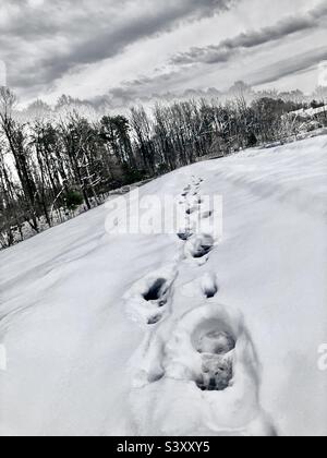 Boot prints in the snow Stock Photo