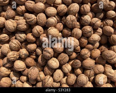 a heap of brown walnuts Stock Photo