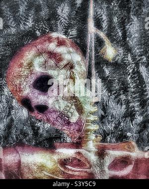 Life-sized skeleton being hanged on a tree each October as part of a Utah, USA yard’s decor as Halloween approaches. Stock Photo