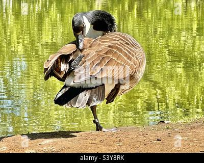 London England UK One Eagle Place mixed use building by Eric Parry Architects Stock Photo Alamy