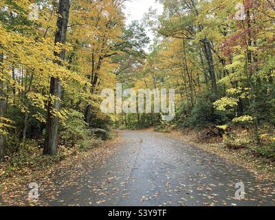 Rainy day on the road in New England as autumn unfolds in Connecticut Stock Photo