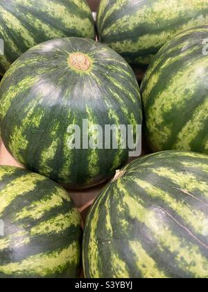 Melons in a box Stock Photo