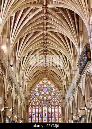 Incredible and magnificent splendour of the interior of Exeter cathedral with detailed and intricate ceiling architecture with columns and carved stone with large multi-panelled stained glass windows Stock Photo