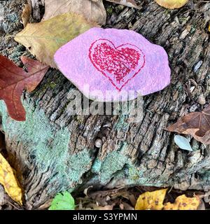 Pink painted rock with a red heart on it found in the autumn woods of New England. Rock sits on a log with leaves surrounding it. Stock Photo