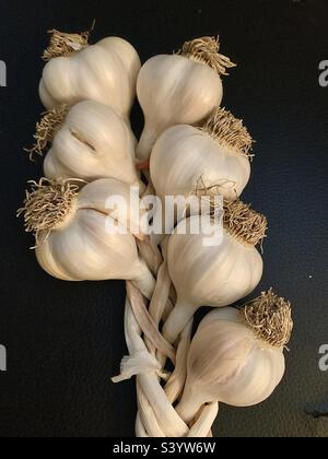 7 braided garlic bulbs on black background Stock Photo