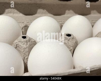 Close-up of white eggs in an egg carton Stock Photo