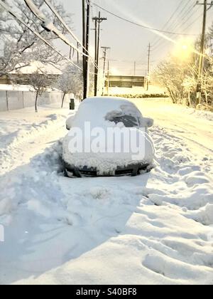 Over 30 centimetres and more on the way. Stock Photo