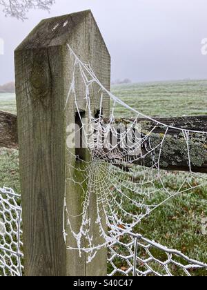 A frozen spider’s web spun across a fence post Stock Photo