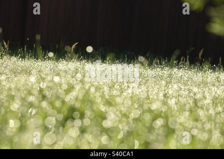 Bokeh Stock Photo
