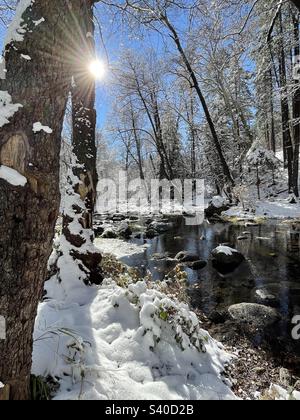 Sun burst lighting up fresh fallen snow clinging to branches and rocks in Oak Creek Canyon, Sedona, AZ, reflections, blue sky, babbling brook Stock Photo