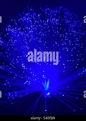 Blue Light Fibre Optic Stock Photo