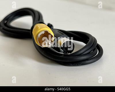 Macro view connectors on a video cable adapter. One end is S-video, the other is RCA, for composite video signal Stock Photo