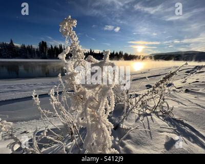 Thick hoar frost on grass along semi-frozen river, with morning sun and blue winter skies. Trees and mountains in background. Stock Photo