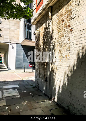 Shadows of a tree on a brick wall Stock Photo