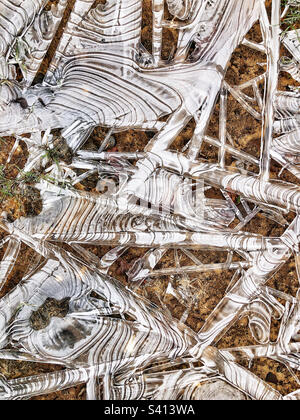 Ice crystal abstract patterns on frozen puddle from receding flooded winter stream In Hampshire United Kingdom Stock Photo