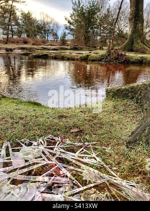 Ice crystal abstract patterns on frozen puddle from receding flooded “Ober Water” stream In the New Forest National Park Hampshire United Kingdom Stock Photo