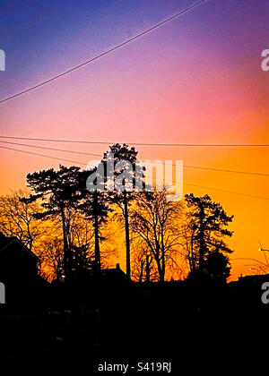 Trees in silhouette against a colourful morning sky at sunrise. Stock Photo