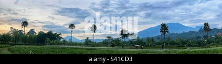 Panoramic view over rice fields of Mt Ungaran and Mt Merapi Volcanos in Central Java Indonesia at Sunset Stock Photo