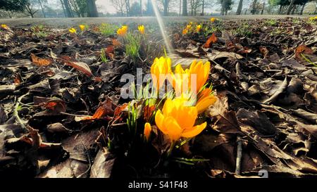 Springtime Stock Photo