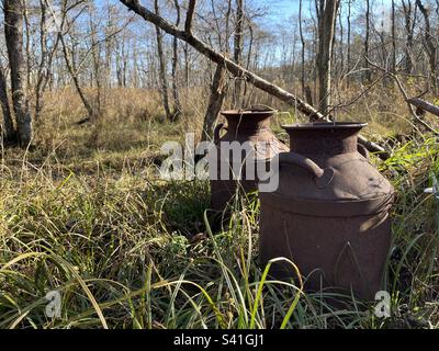 Two rusty milk churns in woodland Stock Photo