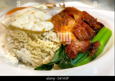 Closeup of bowl of Chinese barbecue pork (char Sui) rice with fried egg and vegetables Stock Photo