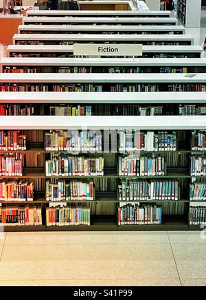 Rose and rose of fiction books at the new York city Public library on Fifth Avenue, 2023, NYC, USA Stock Photo