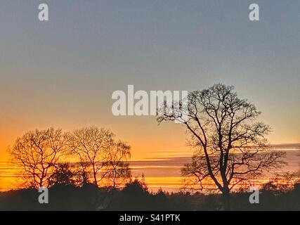 Sun setting behind trees Stock Photo