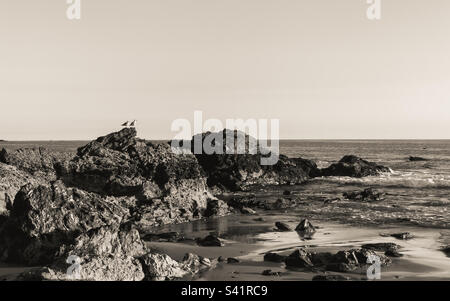 Seascape with waves washing up between rocks on a California beach; in black and white Stock Photo