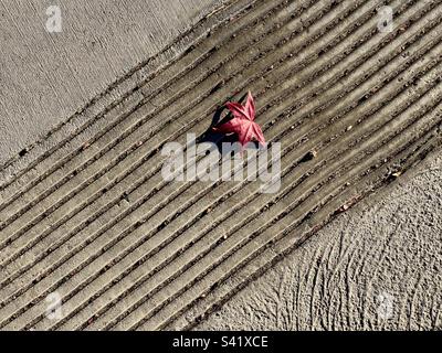 Red maple leaf on concrete side walk in Los Angeles, California Stock Photo
