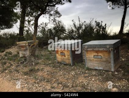 Beehives, Catalonia, Spain. Stock Photo