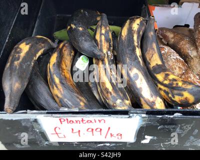 Plantains priced up for sale at Grocer’s shop Stock Photo