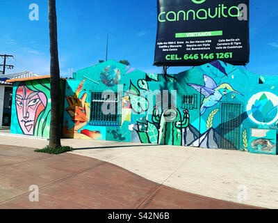 November, 2022, Murals and a billboard, Ensenada, Baja California, Mexico Stock Photo