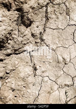 Dry cracked soil, Catalonia, Spain. Stock Photo