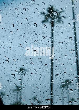 Palm trees on a rainy day visible through water drops on a window Stock Photo