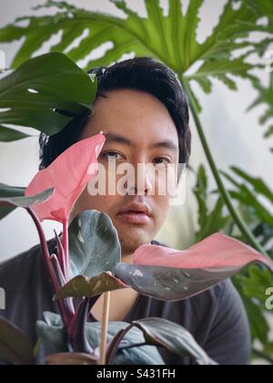 Portrait of young Asian man holding a pink princess philodendron houseplant and framed by monstera and philodendron plants. Stock Photo