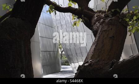 Looking through tree branches toward metallic building at community park on a winter's day in Downtown Los Angeles, behind Walt Disney Concert Hall Stock Photo