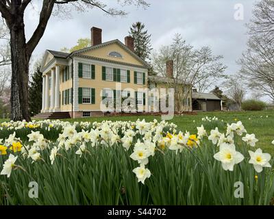 View of Florence Griswold museum with daffodil flowers in the foreground. Located in Old Lyme, Connecticut, USA. Stock Photo