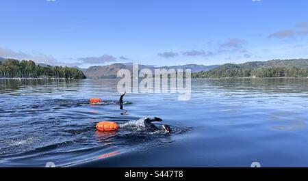 Open water swim Stock Photo