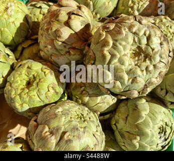 Find large specimens of globe artichokes offered for sale in a French Street market Stock Photo