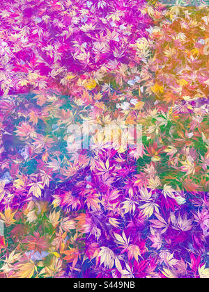 Colorful background of autumn leaves overlaid with bright colors of pink yellow purple and green. Stock Photo