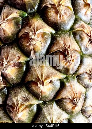 Close up details of a pineapple Stock Photo